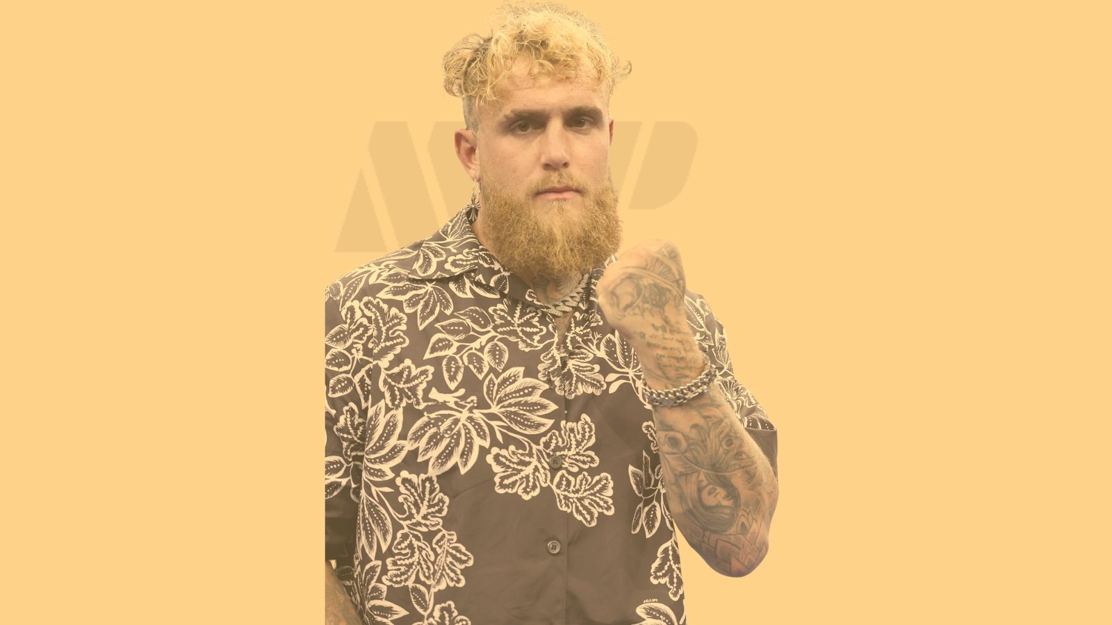 Jake Paul is not a boxing problem